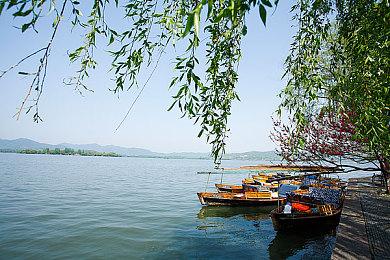 免费AR手游《巫师：怪物杀手》将停止运营 明年初下架